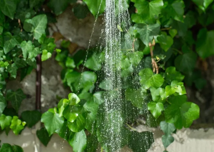 Celestine Vakantiehuis Loukata (Kefalonia)