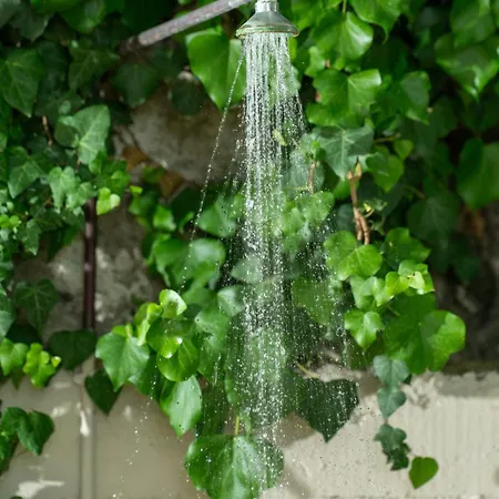 Celestine 펜션 Loukata (Kefalonia)